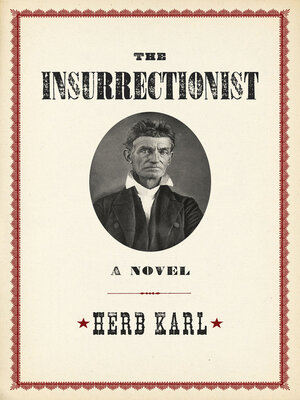 cover image of The Insurrectionist